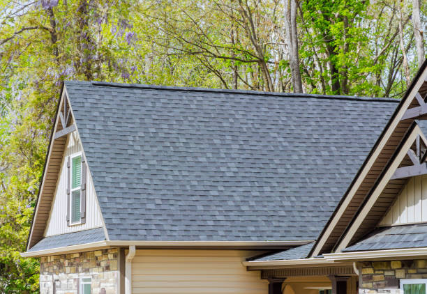 Best Roof Insulation Installation  in Carter Lake, IA