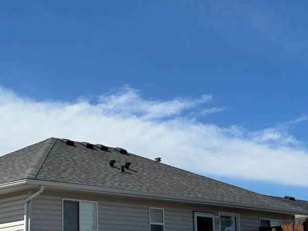 Best Rubber Roofing (EPDM, TPO)  in Carter Lake, IA